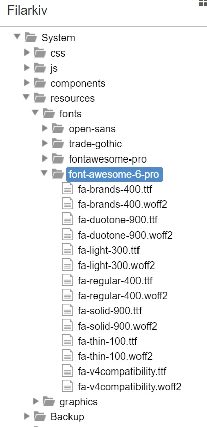 Skärmdump från Sitevision; visar mappen i filarkivet med webfonts